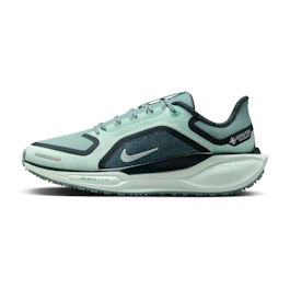Nike Pegasus 41 GTX bij All4running
