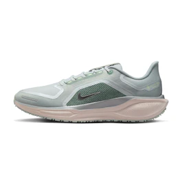 Nike Pegasus 41 GTX bij All4running