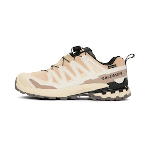 Salomon XA Pro 3D V9 GTX Dames Salomon XA Pro 3D V9 GTX Dames