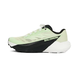 Salomon Pulsar bij All4running