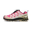 Salomon XA Pro 3D V9 GTX Dames Multi