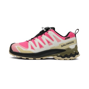 Salomon XA Pro 3D V9 GTX Dames Salomon XA Pro 3D V9 GTX Dames