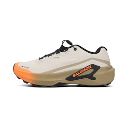 Salomon Genesis 2 GTX bij All4running