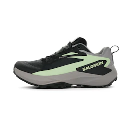 Salomon Genesis GTX