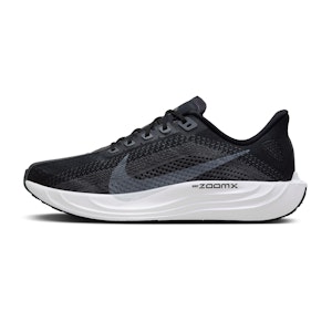 Nike Pegasus Plus heren Nike Pegasus Plus heren