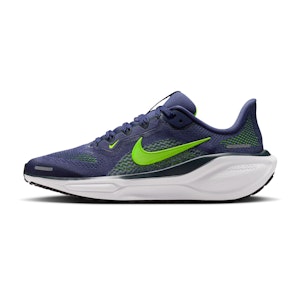 Nike Pegasus 41 GS Kinderen Nike Pegasus 41 GS Kinderen