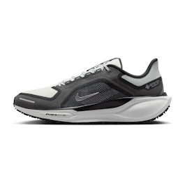 Nike Pegasus 41 GTX bij All4running