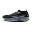Nike Pegasus Trail 5 GTX Heren Zwart