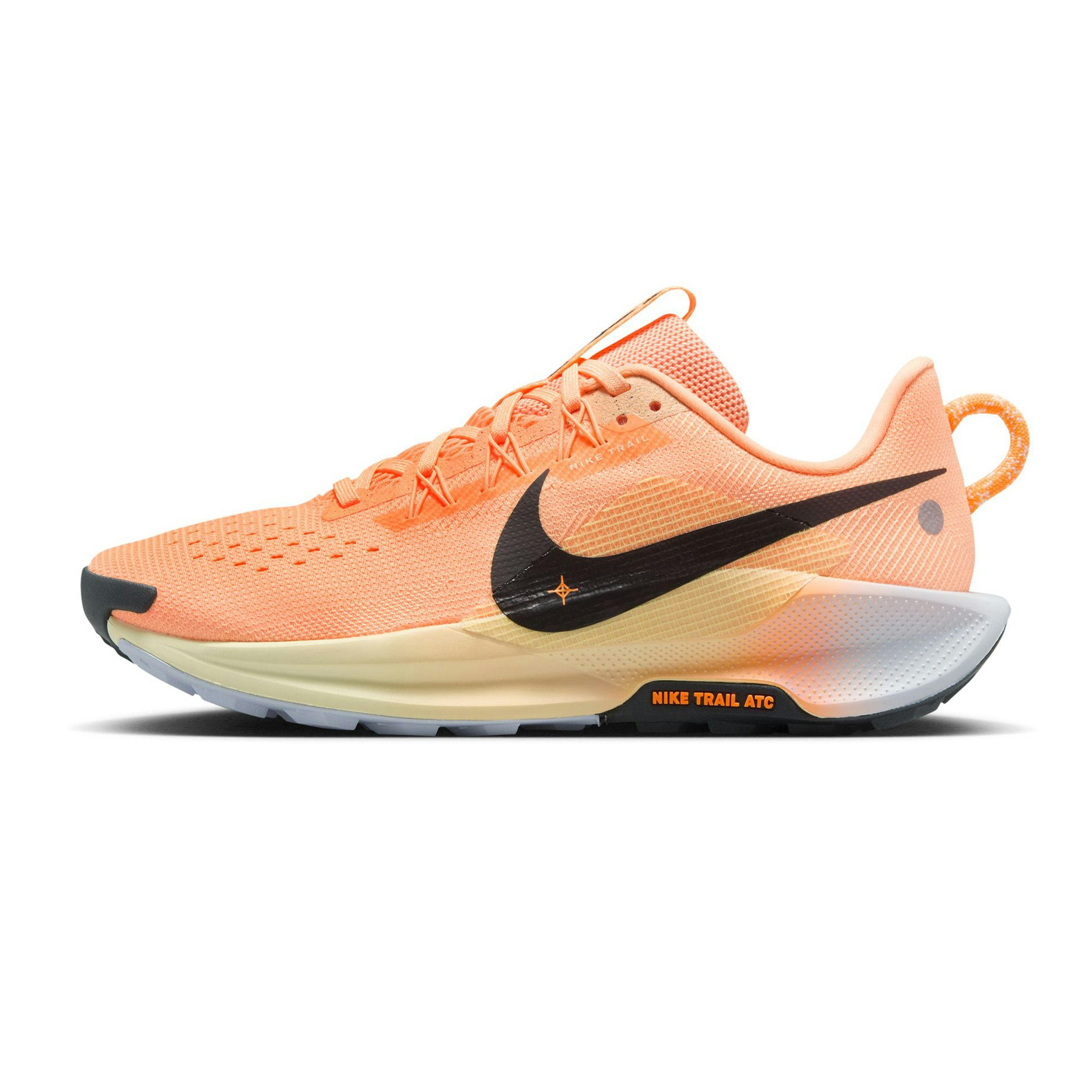 Nike Pegasus Trail 5 Heren