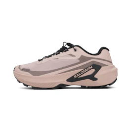Salomon Genesis 2 GTX bij All4running