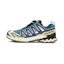 Salomon XA Pro 3D V9 GTX Heren Blauw