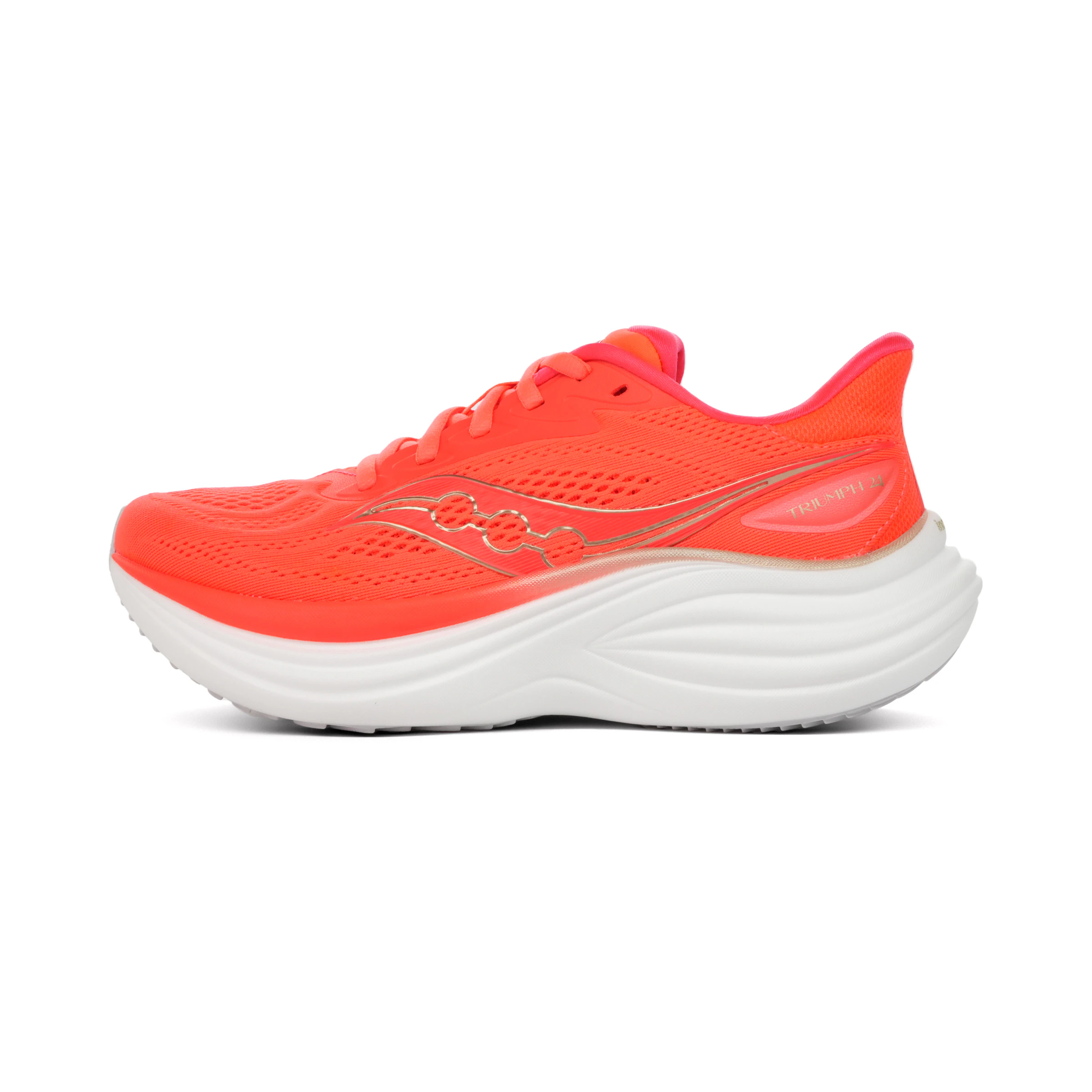 Saucony Triumph 24 Dames